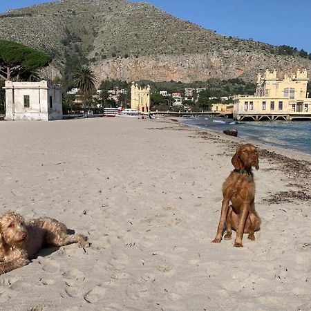 Due Cani Apartment Palermo Exterior foto